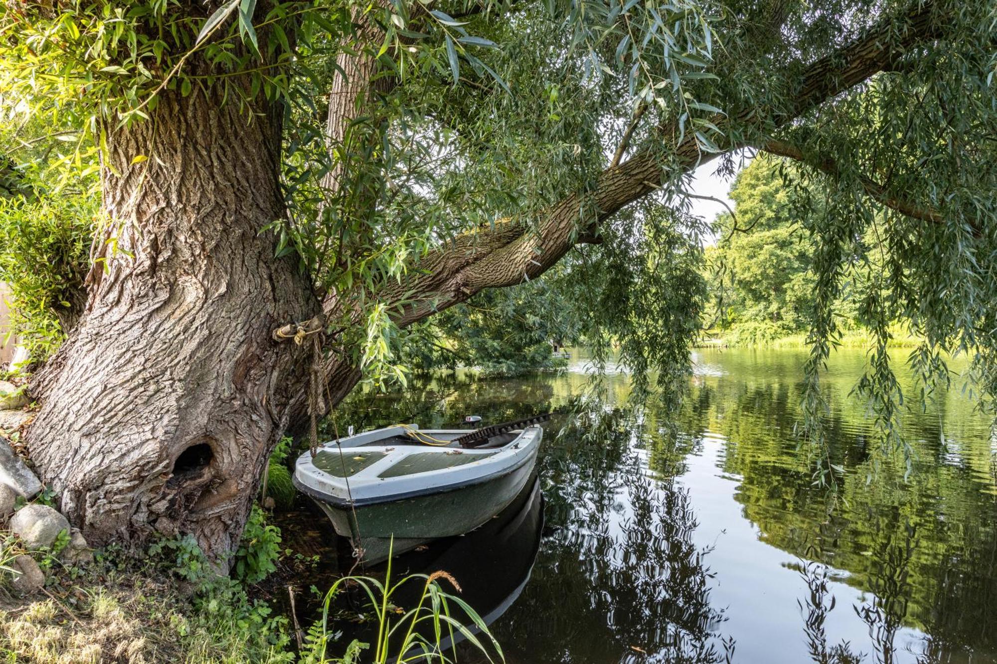 Ferienwohnung Am Parksee Bad Bodenteich Екстериор снимка